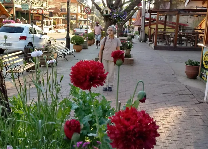 Pousada Amanita Monte VerdePousada