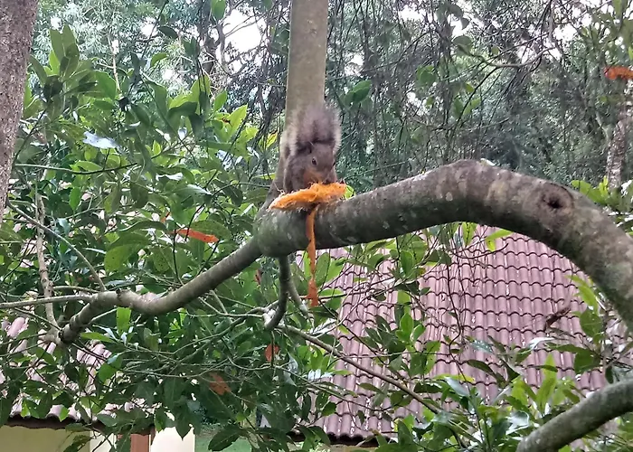 Pousada Amanita Monte VerdePousada